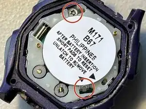 bpXF5dKNucVSjWWu
