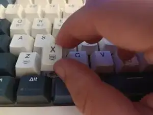 cCZSeqkpqWRPaWeT