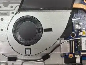 Fan