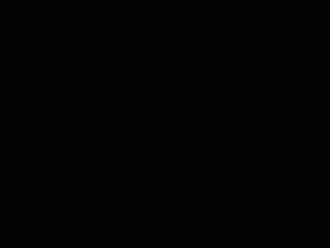 elnZMAXJC52UBWXW