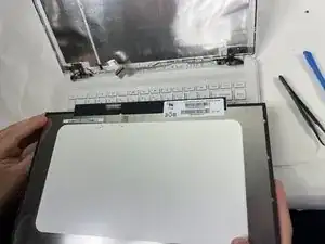 Screen