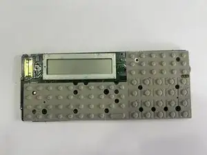 epUCGLqrk321YggZ