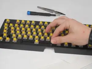 fTdSlXYTMli6aPnc