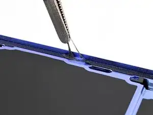 hPlswb2NOuNjJ5bW