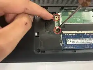 hdMFDL2VVZrJrtEy