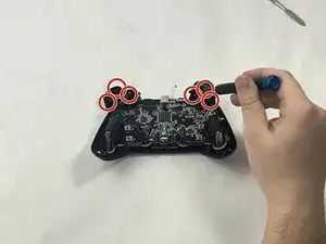 icqNLqeOlfxPZVtm