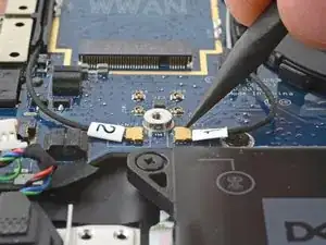 ifNYMSVJ6KN21TWQ