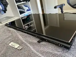 jaxPpMLJORNIfVeY
