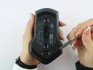 Mouse Feet