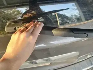 kFYHRMN2cpMLqJvr