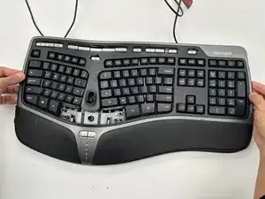 kIxfbgfJrNglrTWa