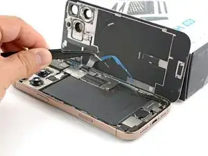 kQLalaji64gE3ZER
