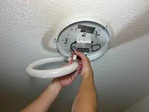 lPqlFuJSUBcJfpmi