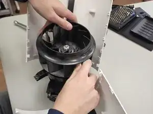 Fan