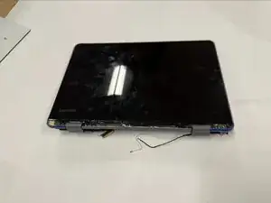 mD4uOBWjE6WlFtZ3