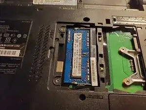 Ram