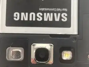 mtVgSdedFFhVMDEo