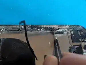 n14Blg5iXFmcSO1w