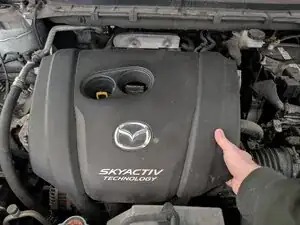 Spark Plug