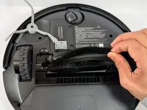 Main Brush
