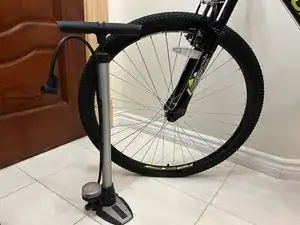 ntsInPtCjegtNLxP