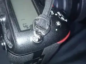 o4kdEifRaIwmtD1s