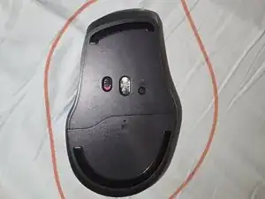 ogGqnBoRQFTSdXUn