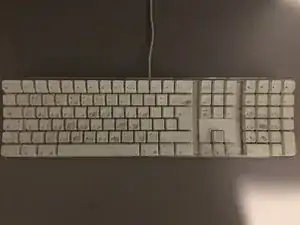 Gründliche Reinigung der A1048 Tastatur