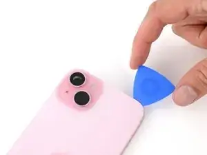pJ1hNCcjZjqLLyJ6