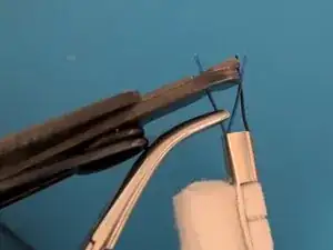 r5rQFd2LrUPRoGv6