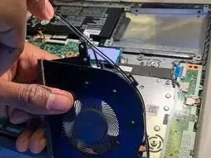 Fan