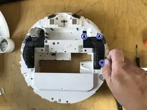 rgX41Dv4rKWProco