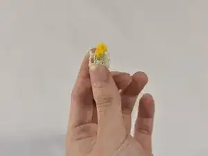 sOQWgJYYo3J3FBVF