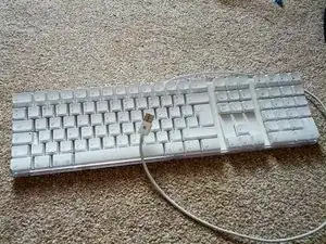 Apple-Tastatur zur Reinigung der PCB-Membran zerlegen