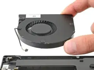 Right Fan