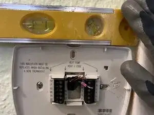 txwOQRXn2mWp6lvM