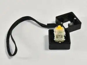 uLsUZER5gyRarsFP