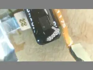 utASFW6pISNWdJKJ