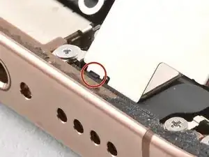 viVhpWPaccWwSSjT