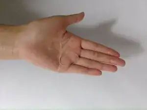 vpTXTSZNcTh4ICym