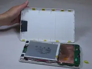 Back Case