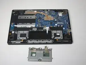 xHRPyyj6YJuL2HXM