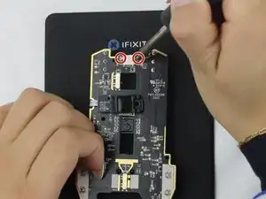xPGBLAEGEEVRdINY