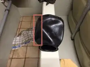 y4VmsXV2XXwq2KJl
