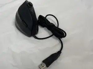 yZ1ASRv5w3gHWc4L