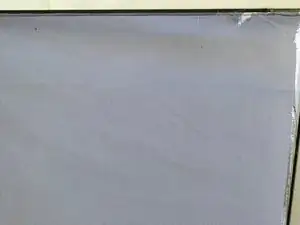 Pool Screen