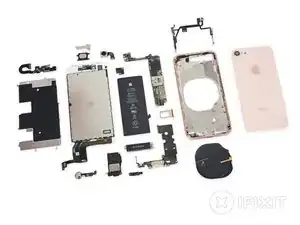 iPhone 8 Teardown