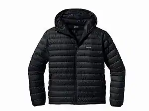 Patagonia Down Jacket