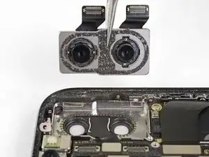 Rear-Facing Cameras