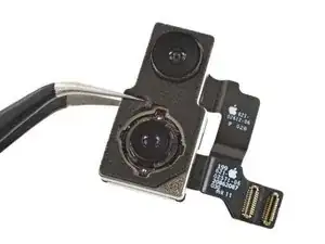 Rear-Facing Cameras